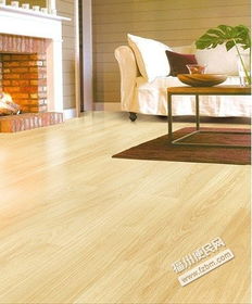 木地板煥新與塑膠地板維護(hù) 全面解決福州家庭地面問(wèn)題